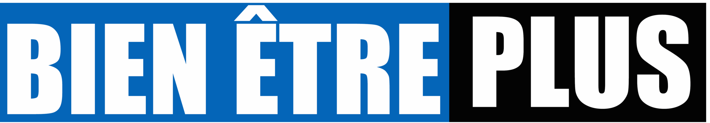 logo de la plateforme bien être plus. Spécialisée sur les questions du bien être nous nous battons pour votre bien être spirituel, financier et physique.